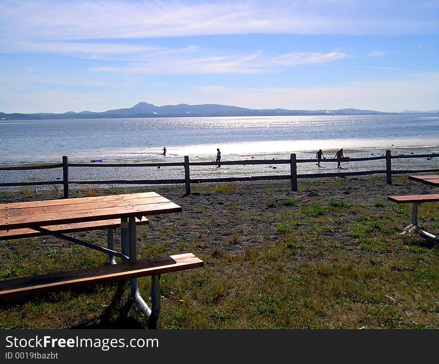 Table With a View