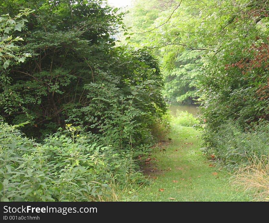 Pathway to the lake, Stonelick Park, Ohio. Pathway to the lake, Stonelick Park, Ohio