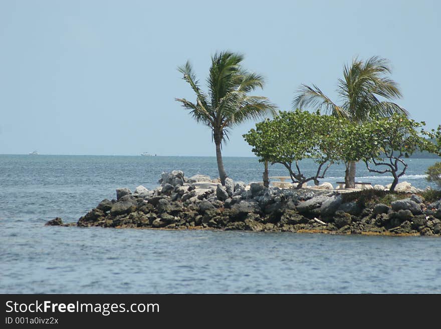 Palms on jetty