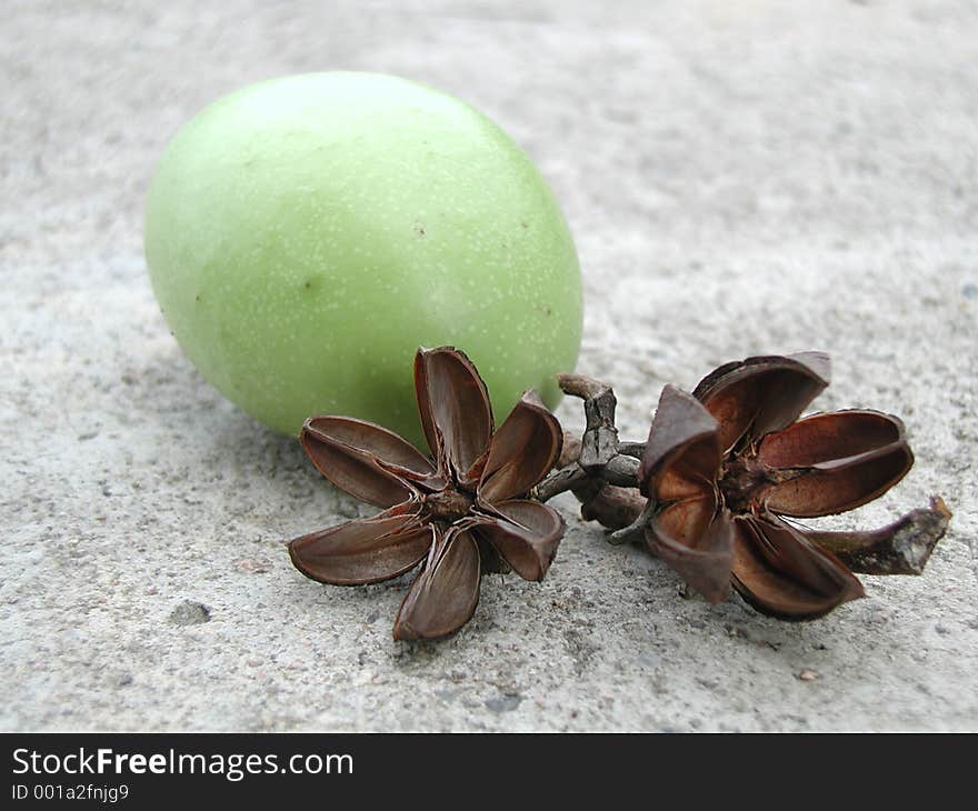 Fruit