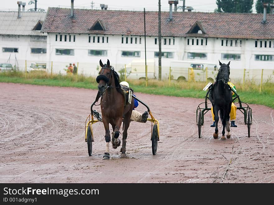 Two racing horse carriages