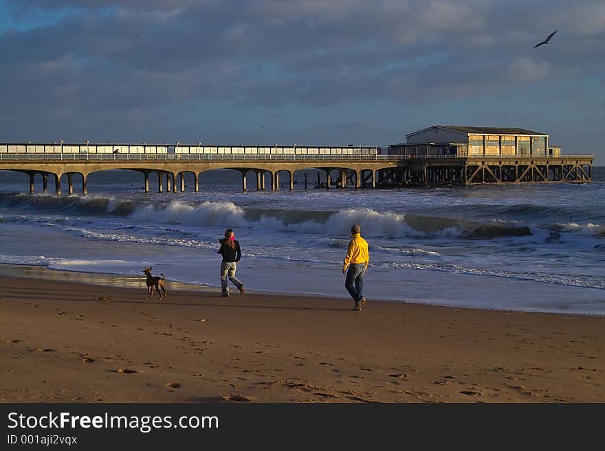 A family walking the dog at the seaside