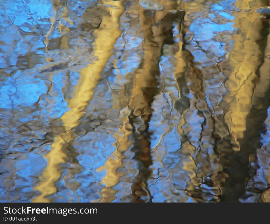 Sunny tree trunks and blue sky reflects in rippled water. Sunny tree trunks and blue sky reflects in rippled water
