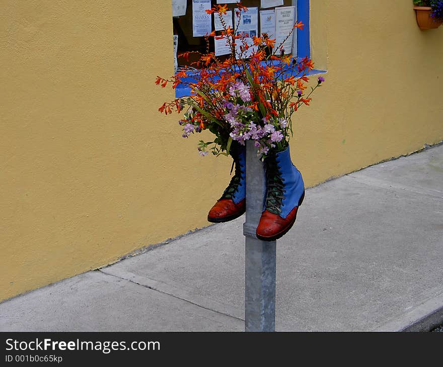 Pair of boots filled with flowers taken in Ireland. Pair of boots filled with flowers taken in Ireland