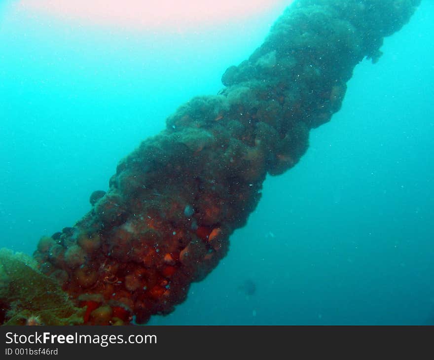 Rope leading the the surface on a shipwreck in Newfoundland. Rope leading the the surface on a shipwreck in Newfoundland