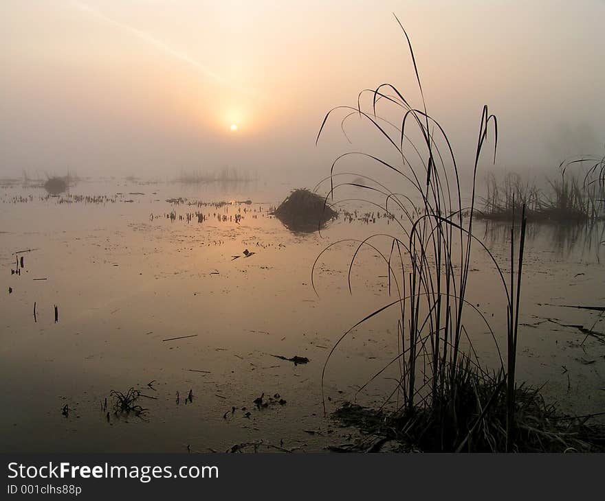 Foggy Morning On Tulchinskom Lake.