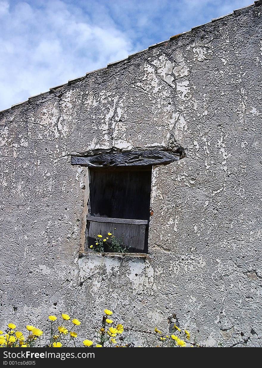 The detail of an ancient house leave abandoned where the nature has regained his places. The detail of an ancient house leave abandoned where the nature has regained his places