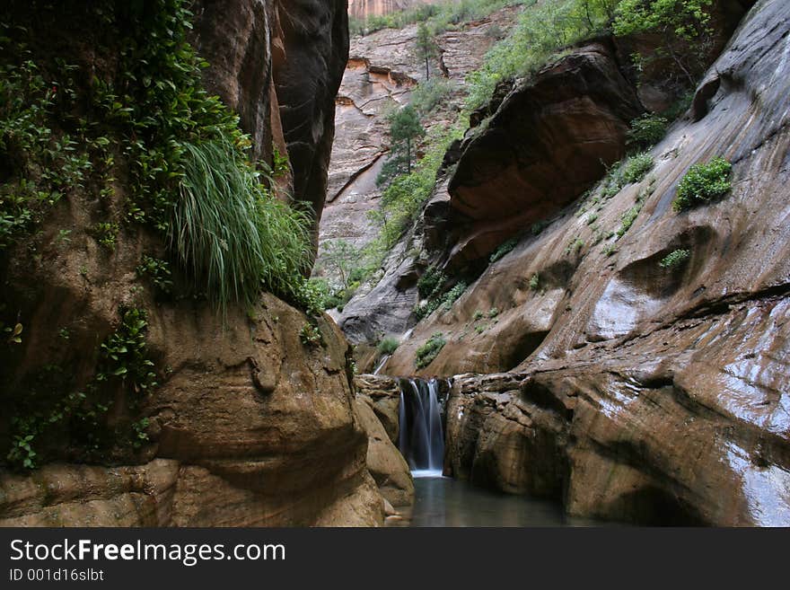 Orderville Canyon. Orderville Canyon