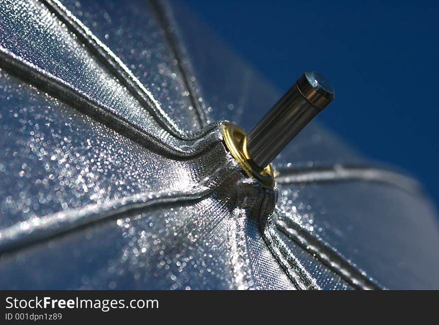 Photographer's Silver Brolly, Macro. Photographer's Silver Brolly, Macro.