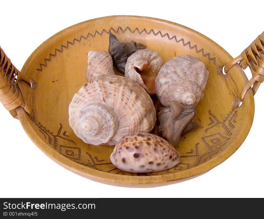 Some different shells on a wooden plate