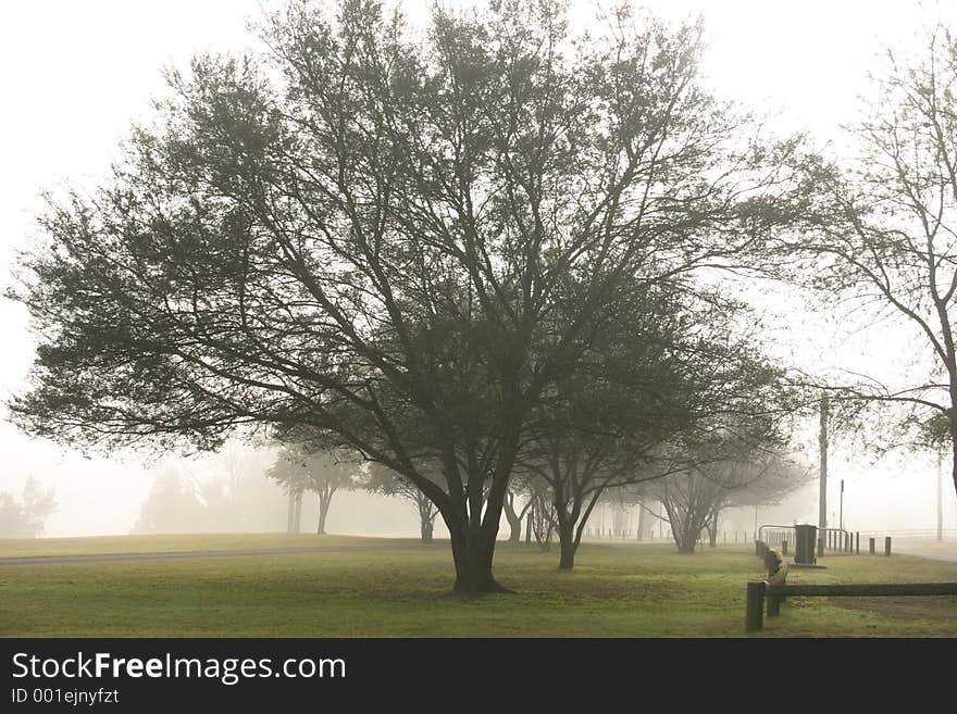 Misty Park. Misty Park