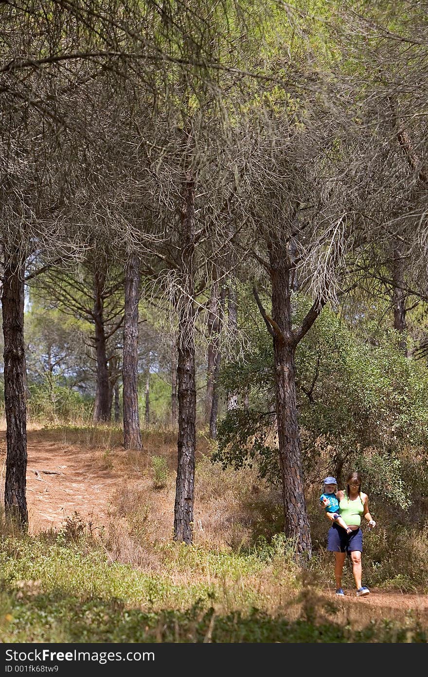 Young mother carrying her toddler son and walking through woods on a sunny day. Young mother carrying her toddler son and walking through woods on a sunny day