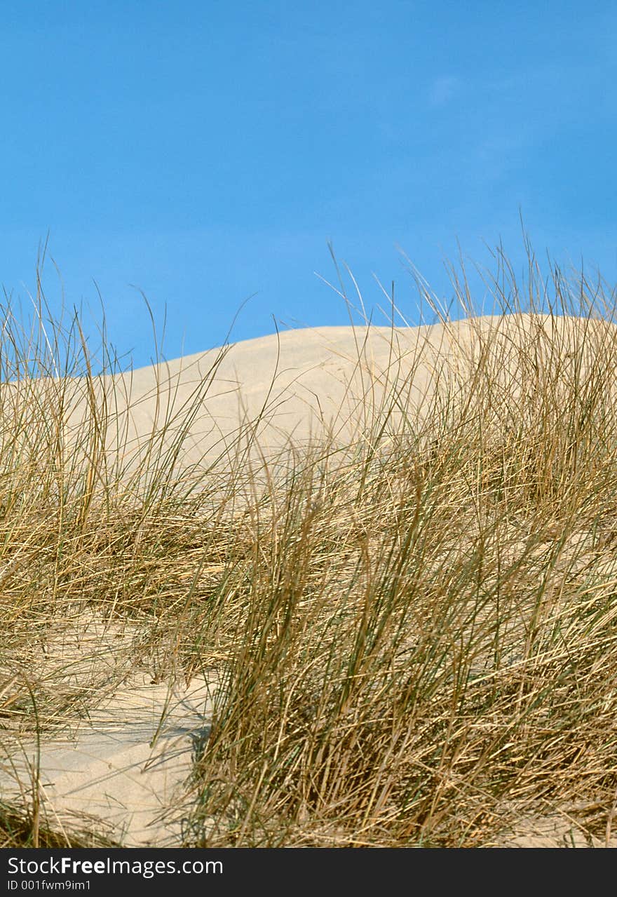 Dunes on the island