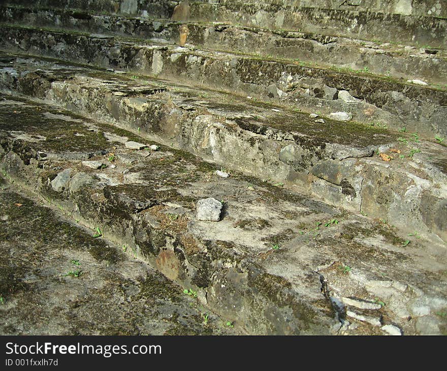 Ancient Stairs in the woods