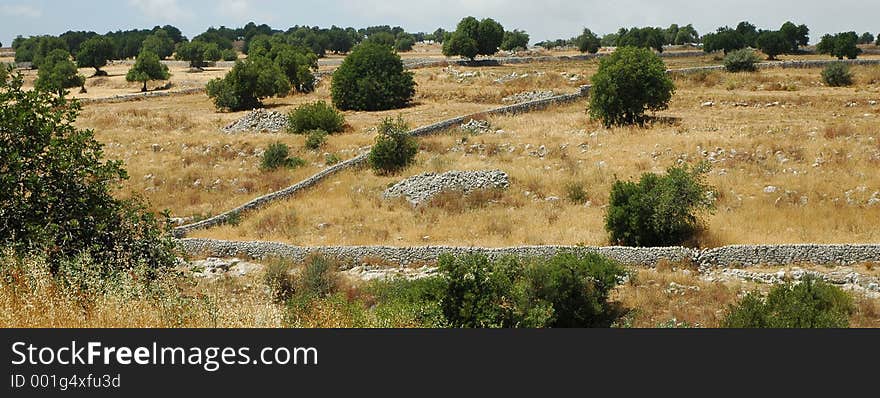 Sicilian landscape3