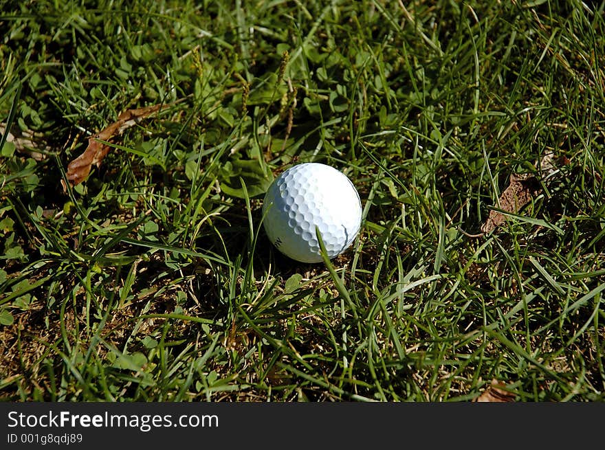 A golf ball in the tall grass, or Rough. A golf ball in the tall grass, or Rough.