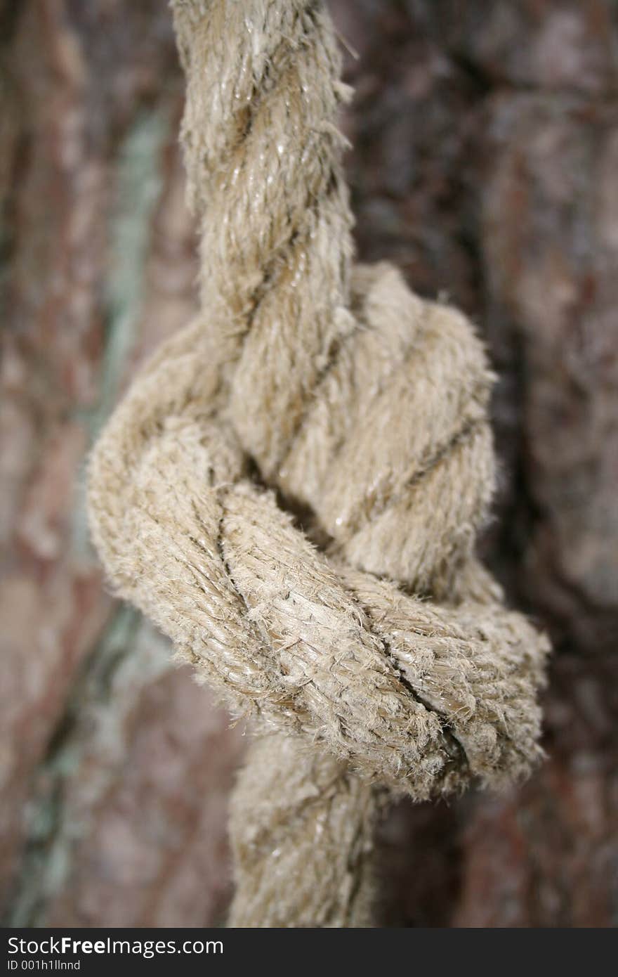 Rope with knot