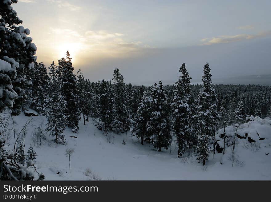 Snowy Sunrise