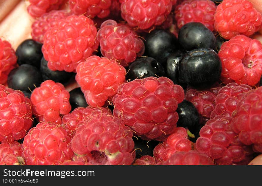 Raspberries and blueberries. Raspberries and blueberries