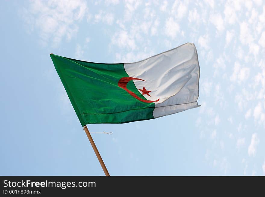 Algerian flag. Algerian flag