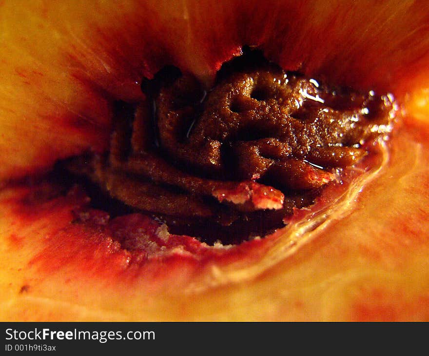 High-Contrast Macro Peach. High-Contrast Macro Peach