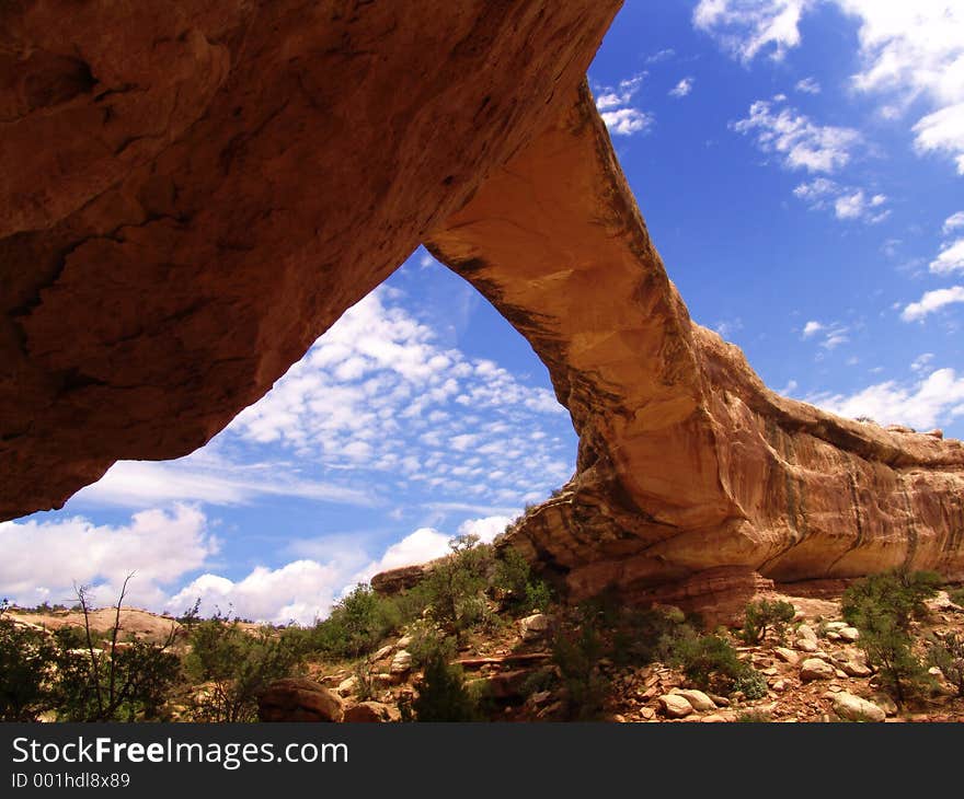 Desert view