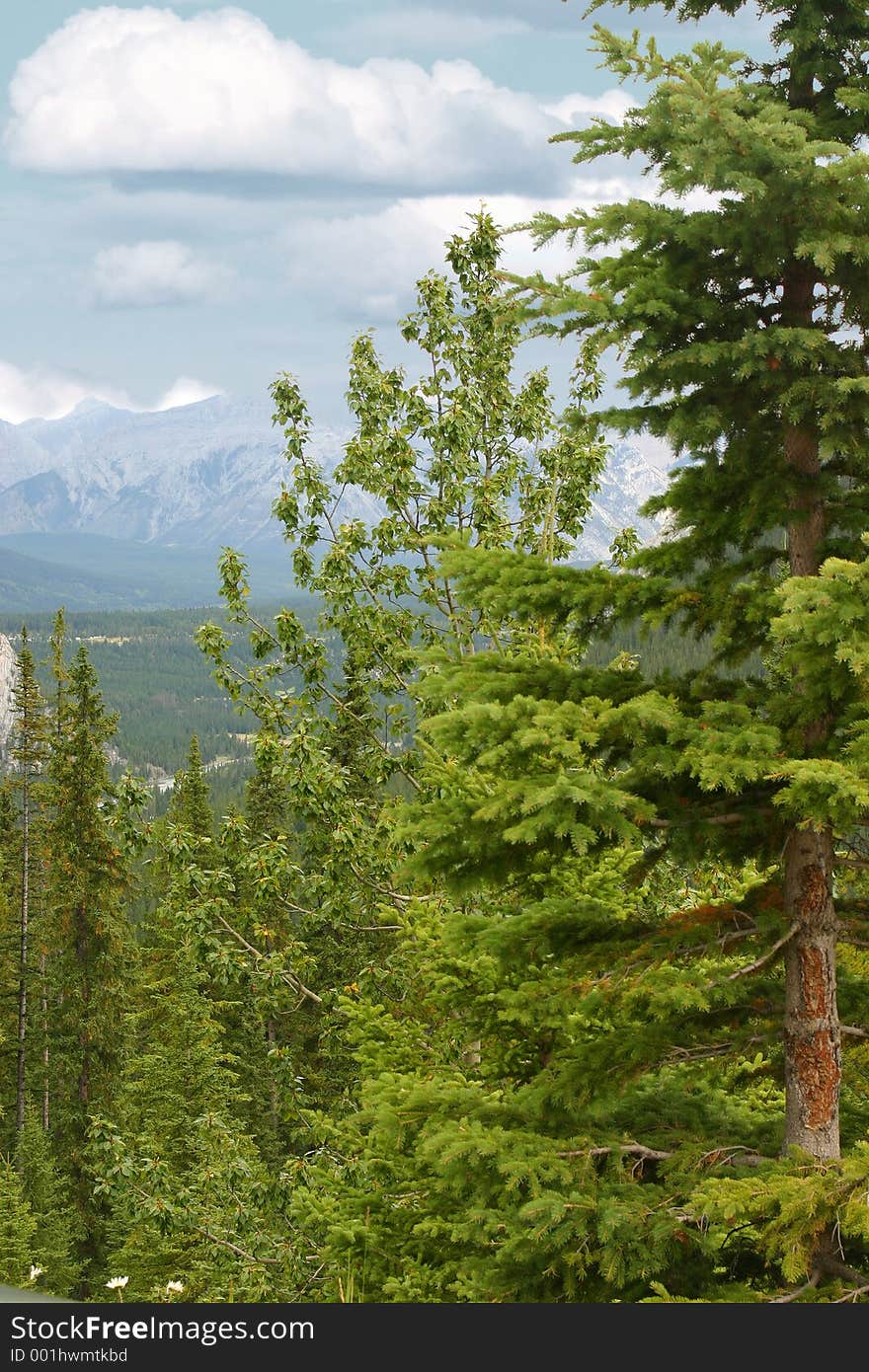 Rockies in Banff, Alberta (Sulpher Mountian). Rockies in Banff, Alberta (Sulpher Mountian)