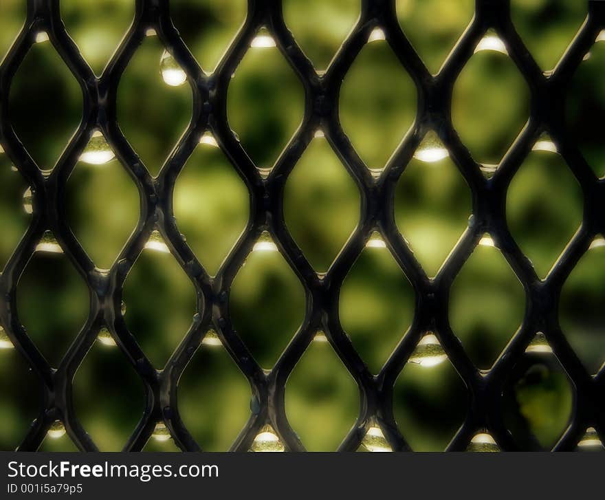 Closeup of a grid in rain. Closeup of a grid in rain