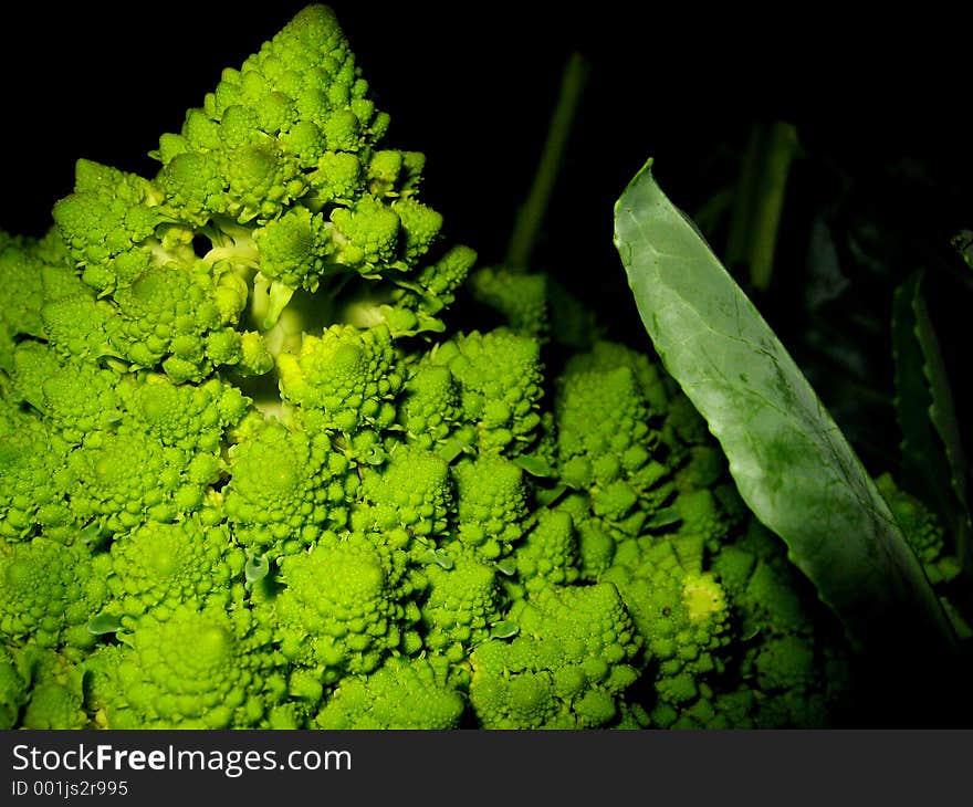 Part of fresh green cauliflower lying in the darkness