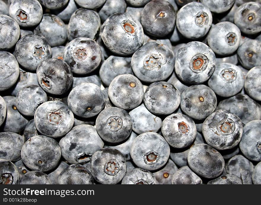 Large mass of plump blueberries. Large mass of plump blueberries