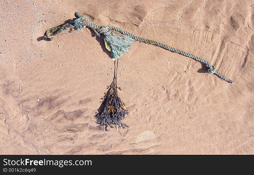 Rope on sand Reighton. East yorkshire UK