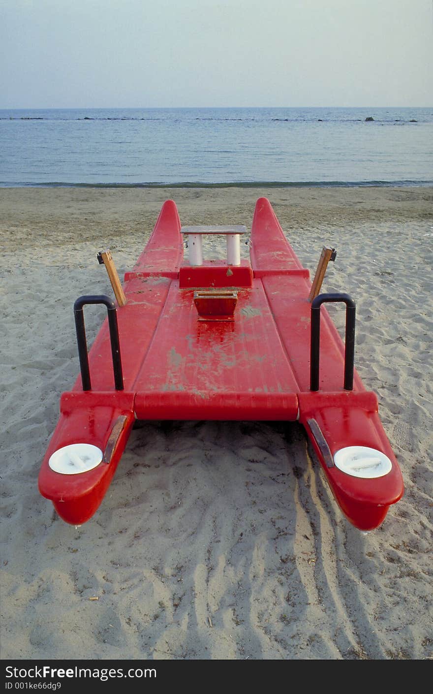 Red skate and sea