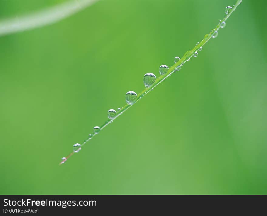 Water Drop