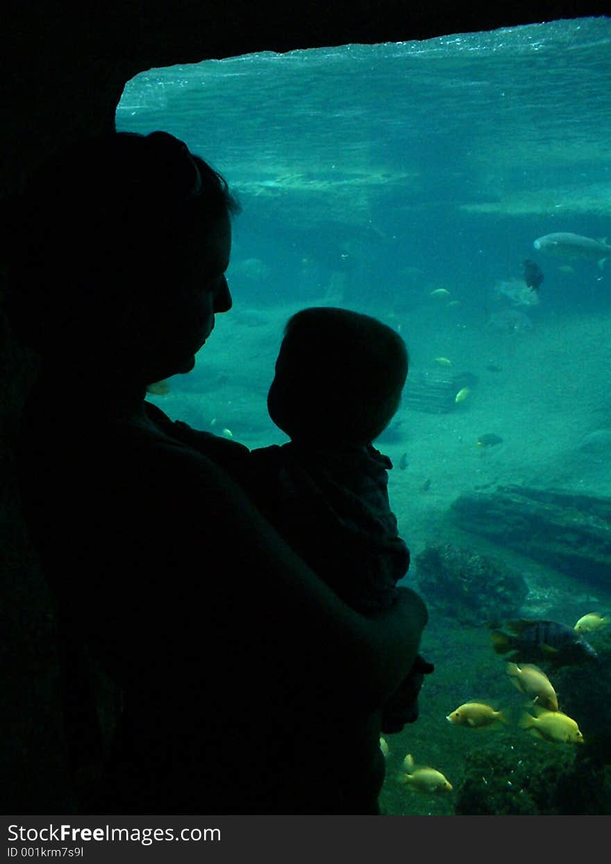 Original image of a mother and her child in front of a manatee tank at the zoo in Tampa Florida. Original image of a mother and her child in front of a manatee tank at the zoo in Tampa Florida.