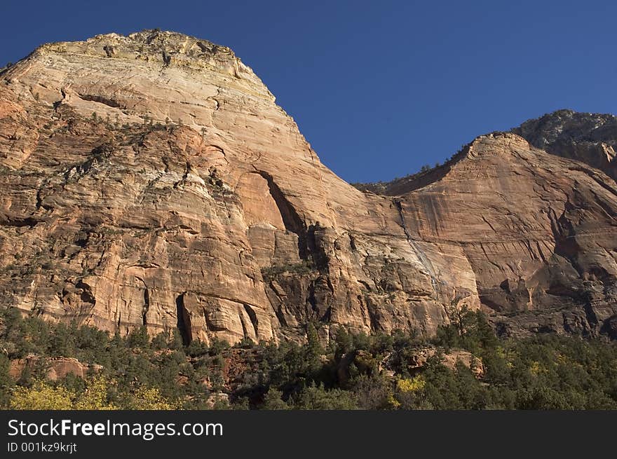 The sandstone walls of a canyon in Zion National Park in southern Utah. The sandstone walls of a canyon in Zion National Park in southern Utah