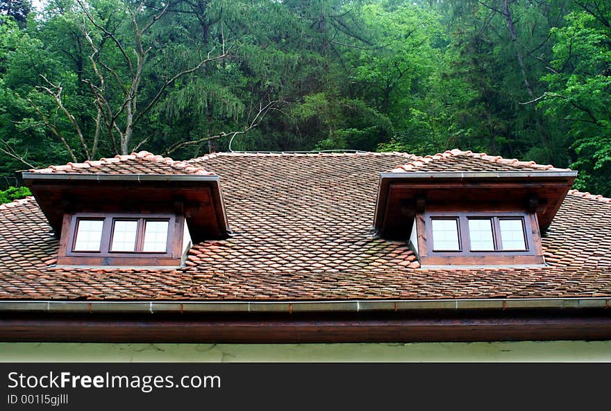 The roof windows. the attic