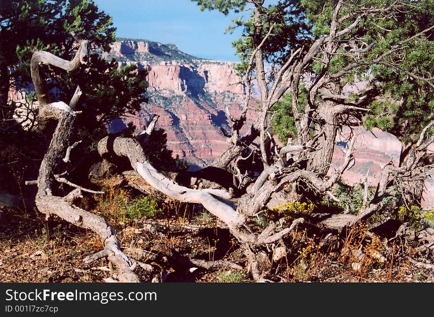 Grand Canyon_7