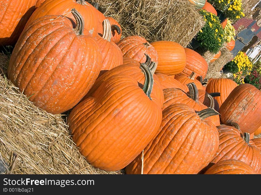 Pumpkins