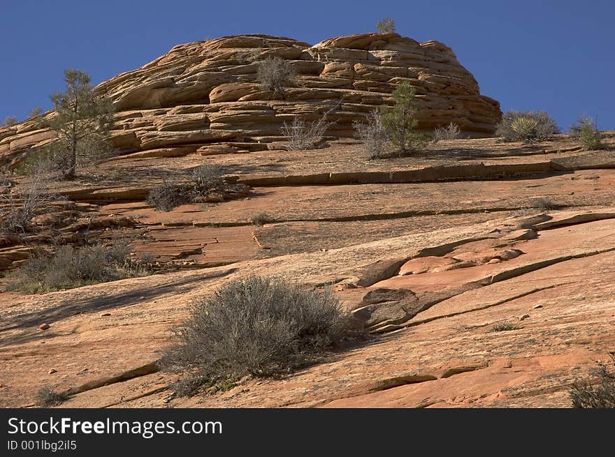 Canyon Landscape - Zion