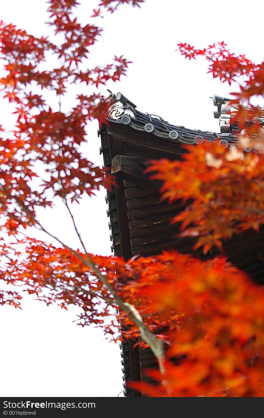 Temple Roof In Autumn