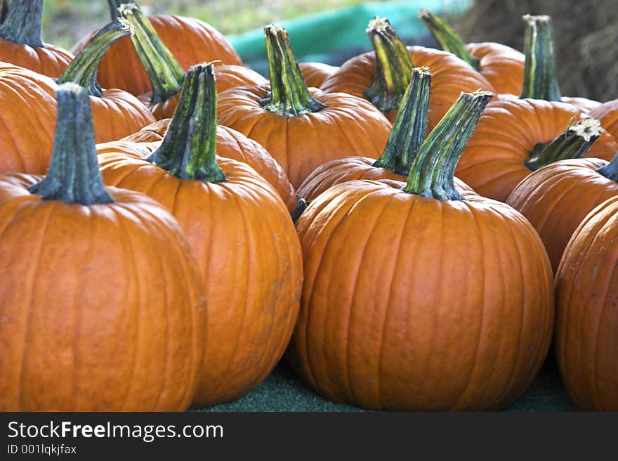 Small pumpkins on table at market.