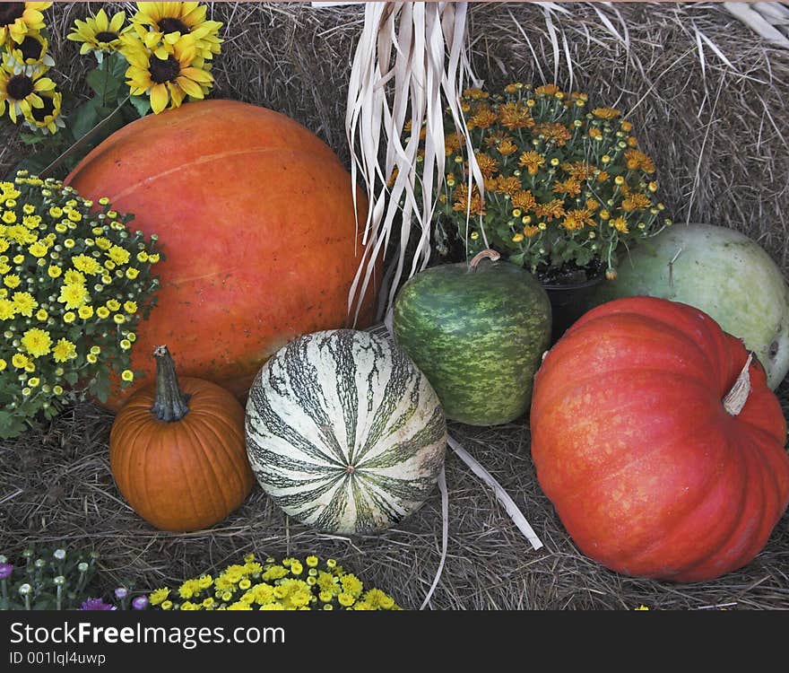 Display of pumpkins, gourds, and flowers at local market. Display of pumpkins, gourds, and flowers at local market.