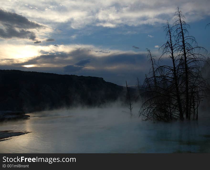 Trees in Mammoth Hot Springs mist at dawn - Yellowstone National Park, Wyoming. Trees in Mammoth Hot Springs mist at dawn - Yellowstone National Park, Wyoming