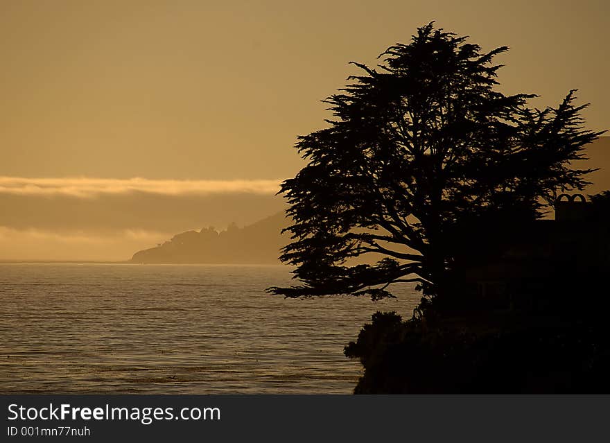 Sunset, shell beach