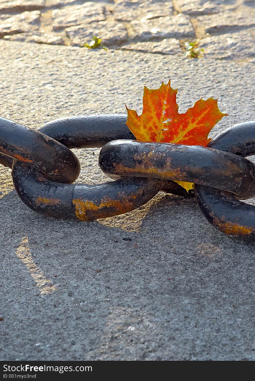 Beauty of fading autumn and rusty chain