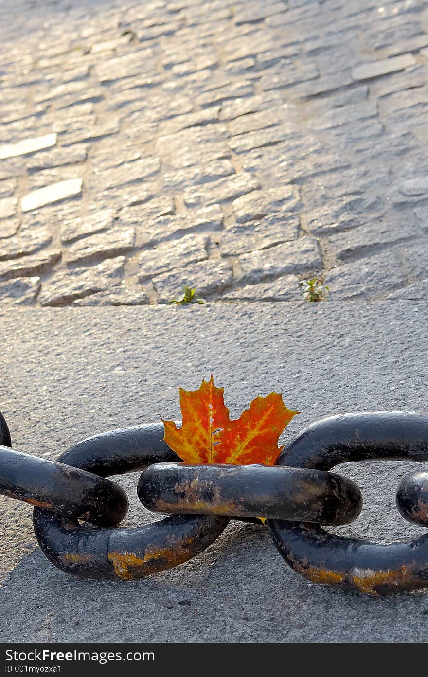 Beauty of fading autumn and rusty chain