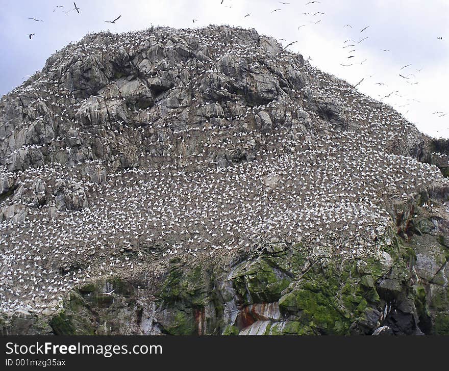 Extraordinary scene on island off coast of Brittany. Extraordinary scene on island off coast of Brittany