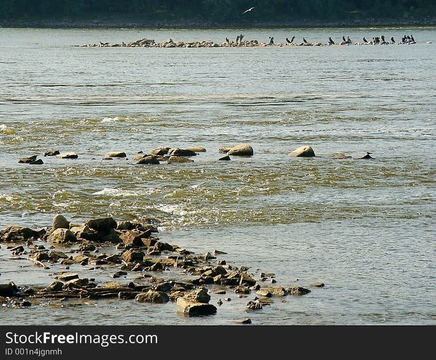 Water flowing around rocks. Birds on rocks. Water flowing around rocks. Birds on rocks.