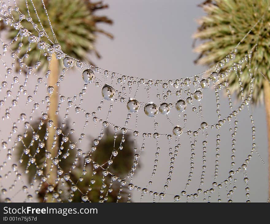 Necklace.