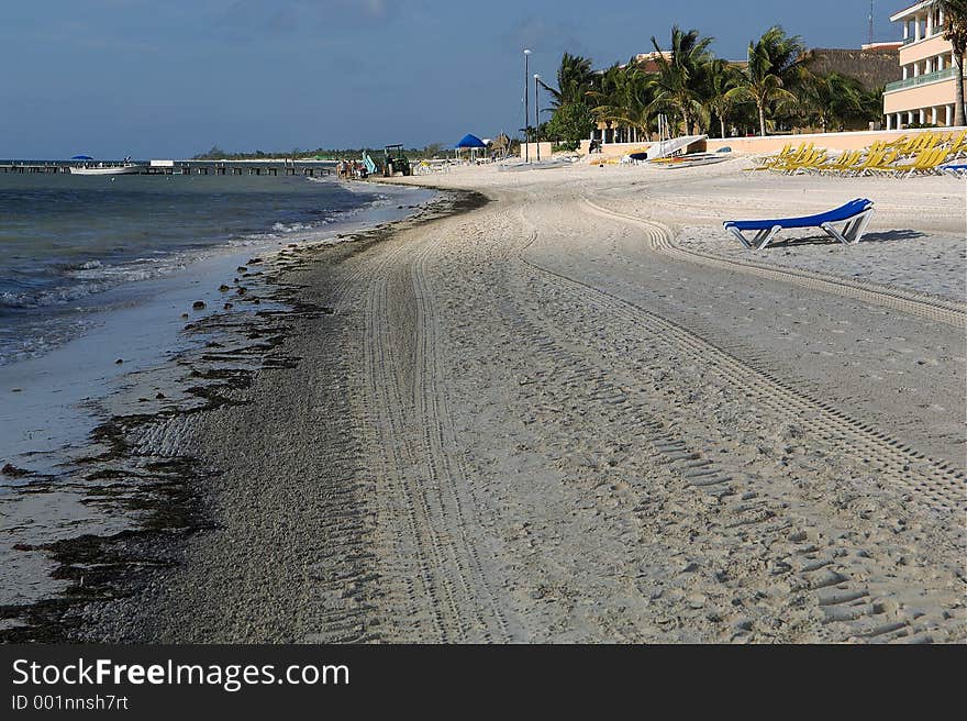 Beach Recliner